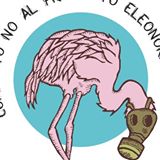 no al progetto eleonora